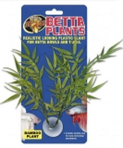 Preview: Betta Plant